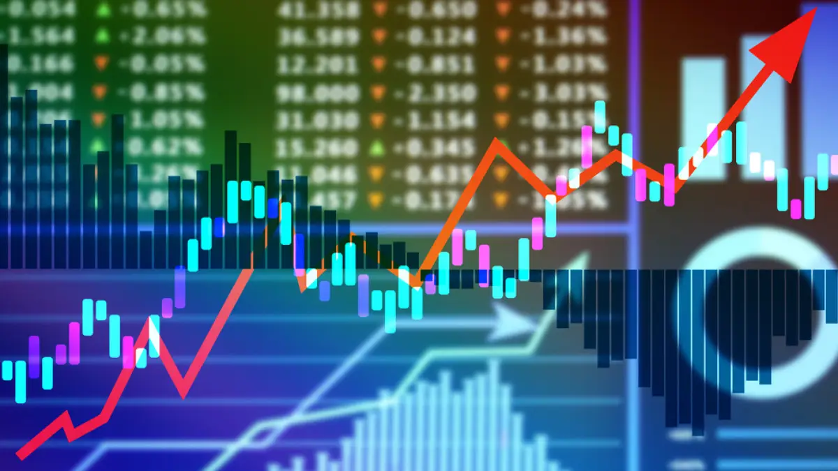 Equity Portfolio Investment Strategies